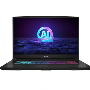 MSI	Katana A17 AI	B8VE-838TW	黑	17.3"FHD IPS/R7-8845HS/16G/1T/RTX4050 6G/W11