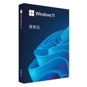 微軟 Microsoft Windows 11 Pro 專業版 中文隨機版/彩盒版