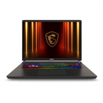 MSI	Vector 17 HX AI	A2XWJG-066TW	灰	17.0"QHD IPS/U9-275HX/16G*2/1T/RTX5090 24G/W11