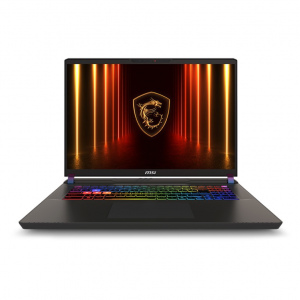 MSI	Vector 17 HX AI	A2XWJG-066TW	灰	17.0"QHD IPS/U9-275HX/16G*2/1T/RTX5090 24G/W11