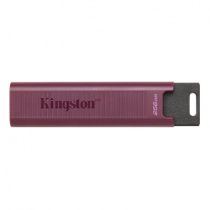 金士頓 Kingston DataTraveler Max USB 3.2 Gen 2 系列隨身碟 256G / 512G / 1TB